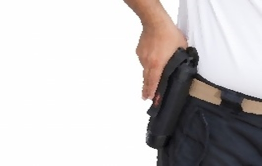 Taser Gun