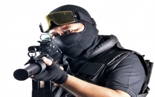 SWAT Officer